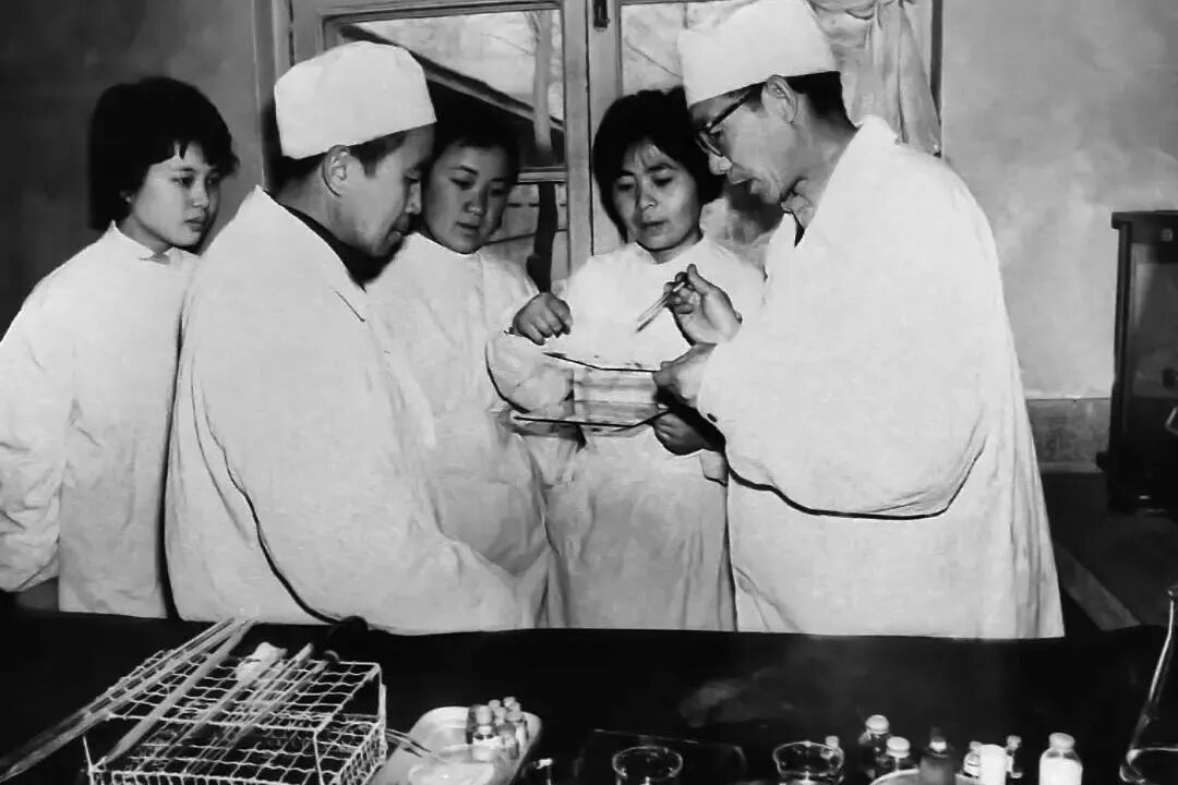 1764901915369017410.jpg 2.jpg