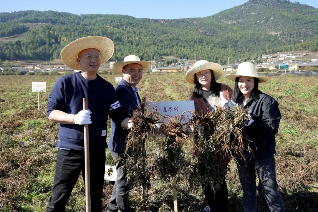 1767665871202000236.jpg 8.jpg