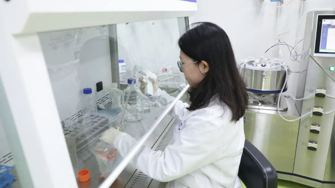 1764901581902061166.png 4.png