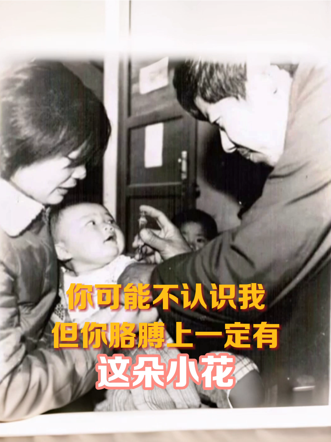 1764901940326007258.png 3.png