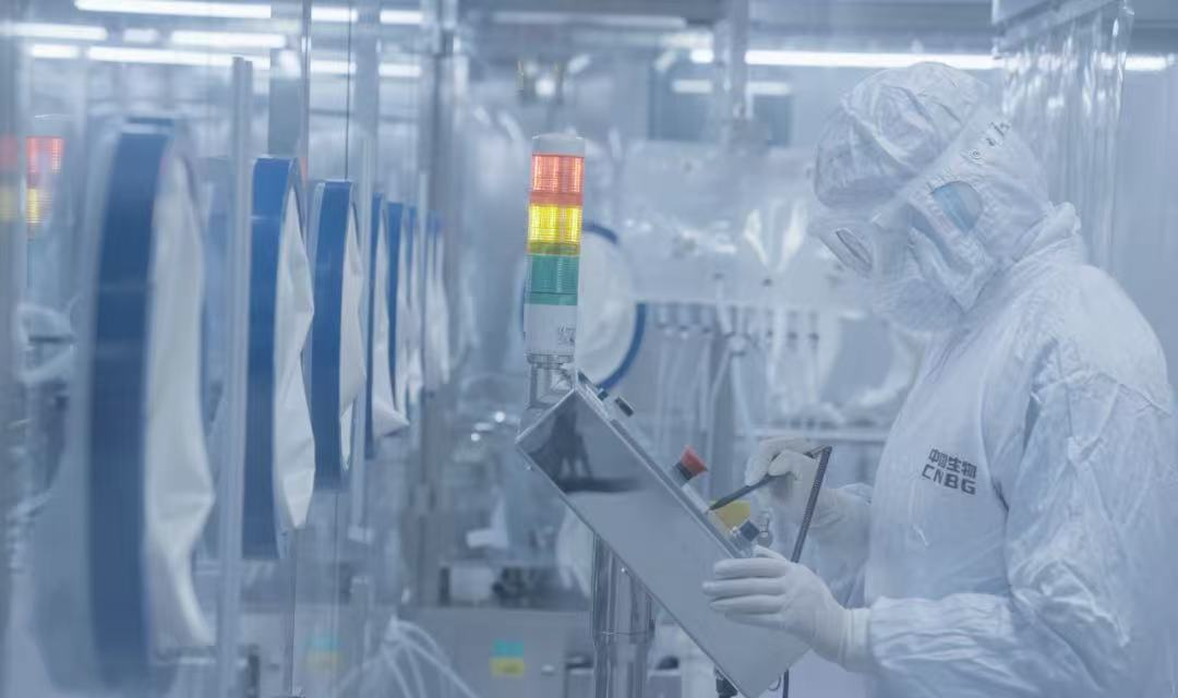 1765331193818080727.png 1.png